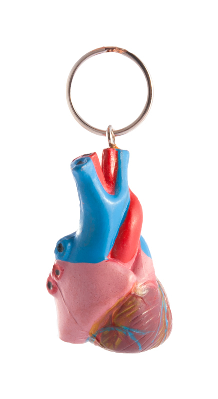Sleutelhanger Menselijk Hart