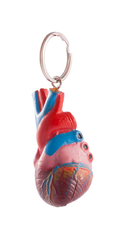 Sleutelhanger Menselijk Hart