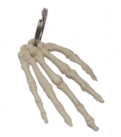 Mini Hand