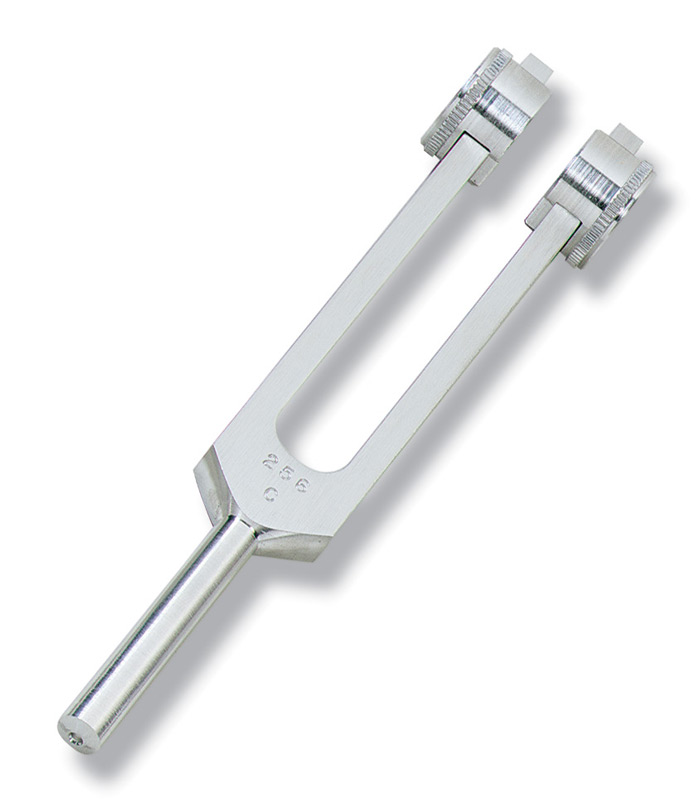 Stemvork 256C